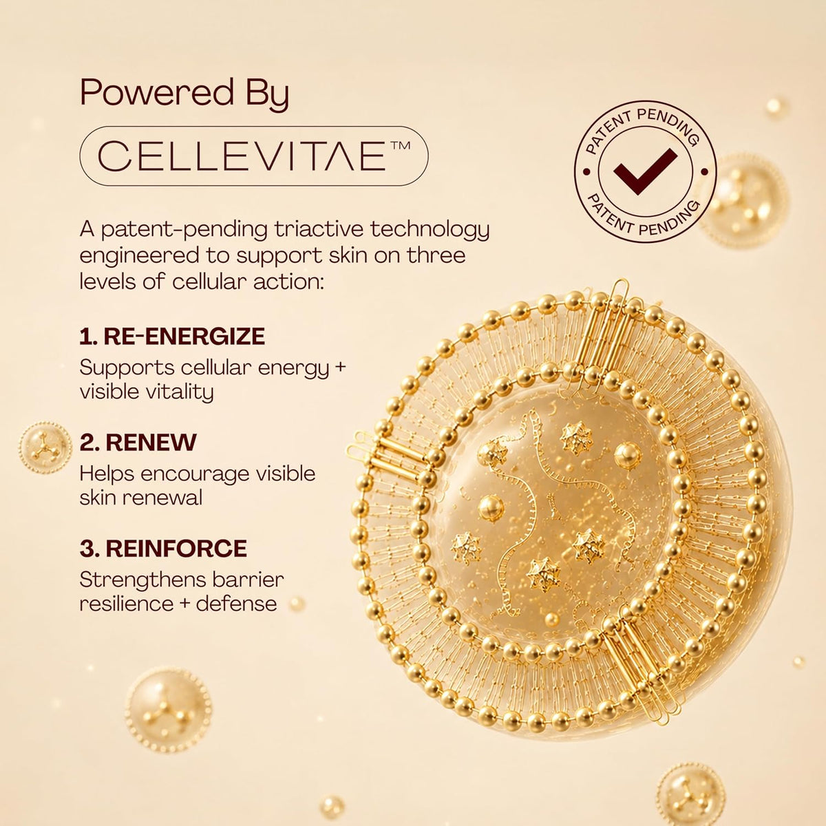 Cellevitae Signature Discovery Set 3-Step Skincare Routine