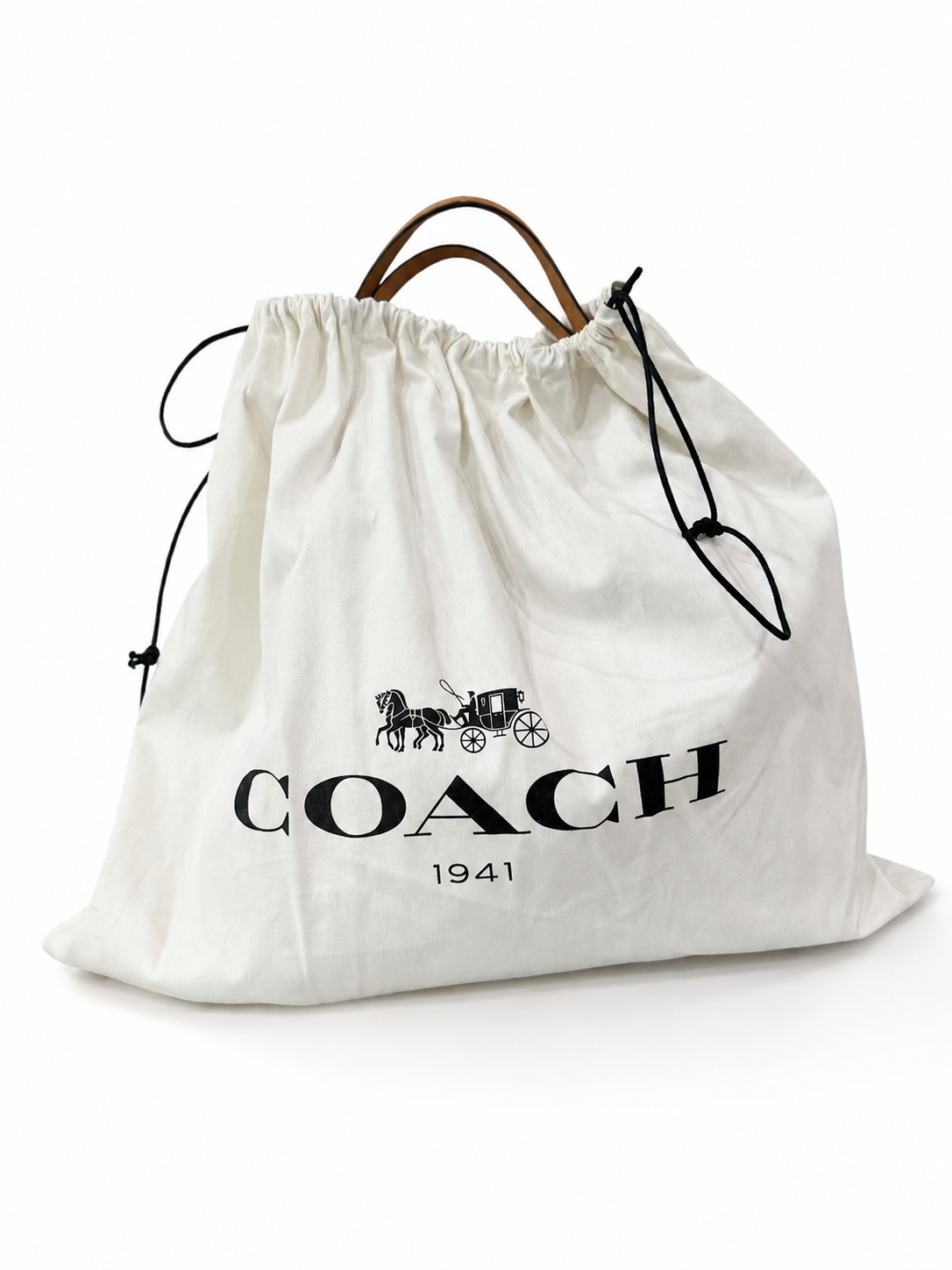 Coach protective dust bag included with Edie 31 set