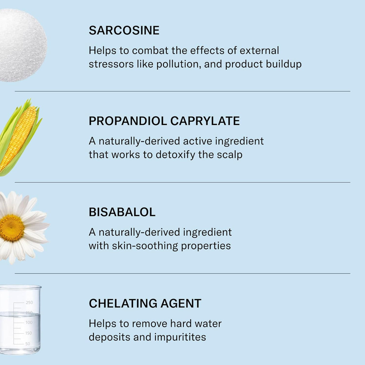 SEEN Scalp Clarifying Shampoo